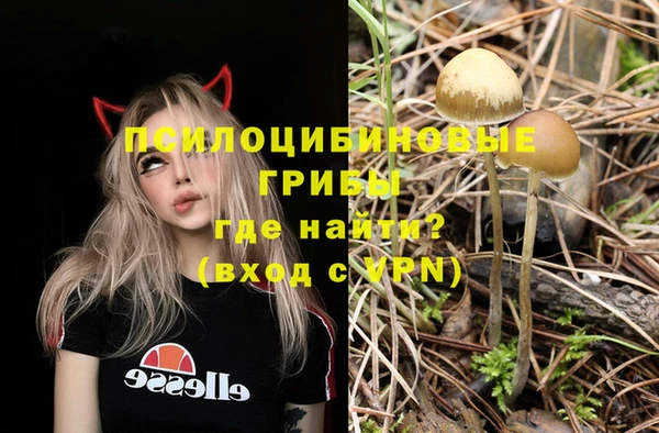 круглые Аркадак